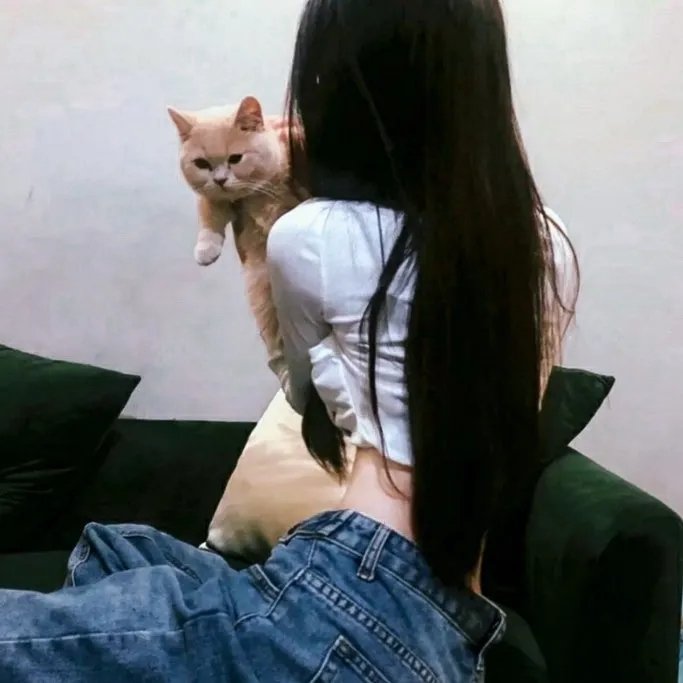 美丽的不完美 海报